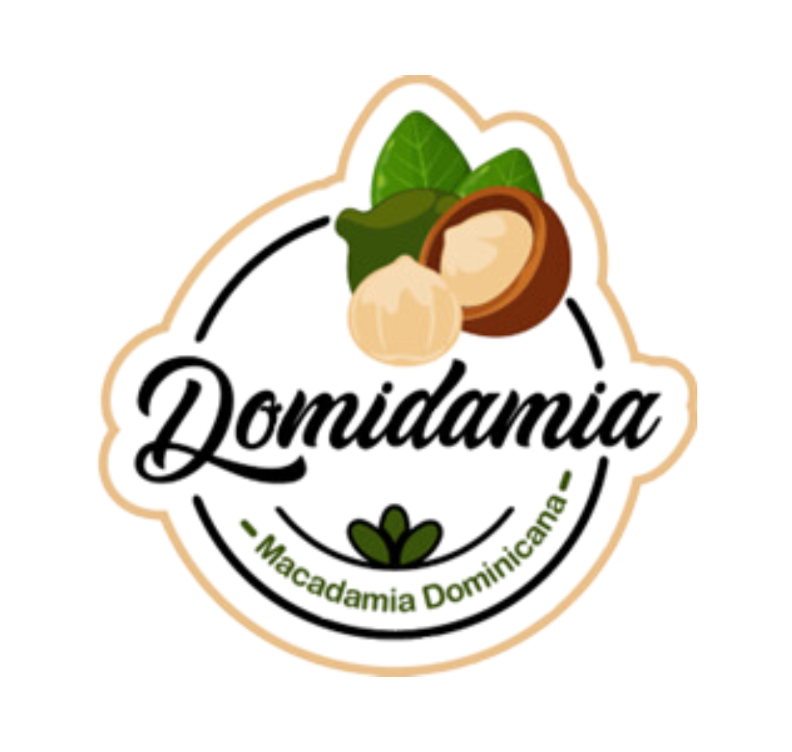 Domidamia